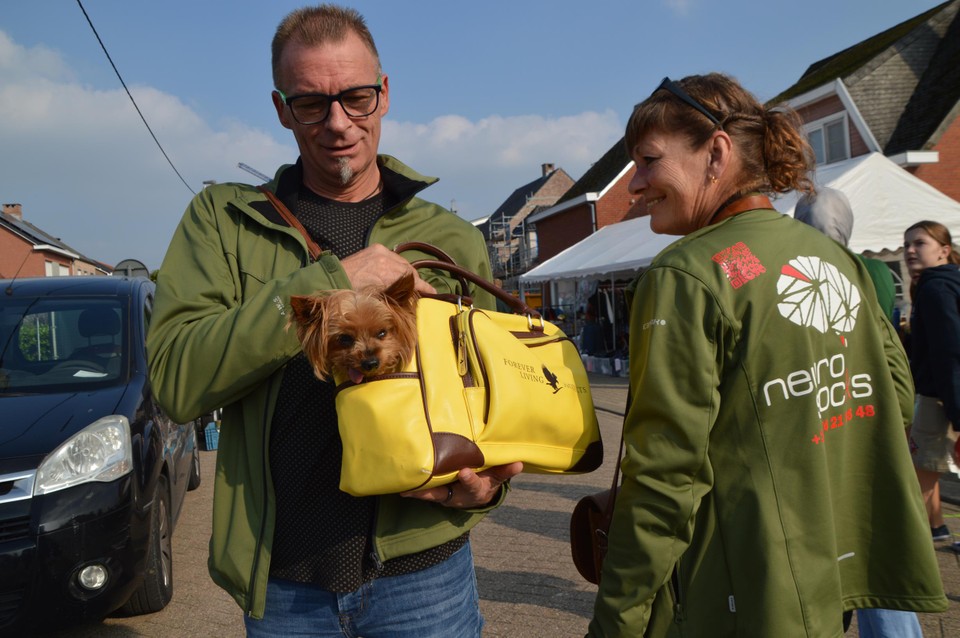 Ook veel hondjes op de rommelmarkt.