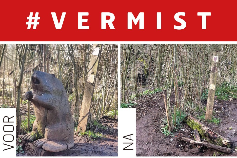 Een vrijwilliger merkte op dat het exemplaar van Bernard de Bever aan de wilgentunnel verdwenen was.
