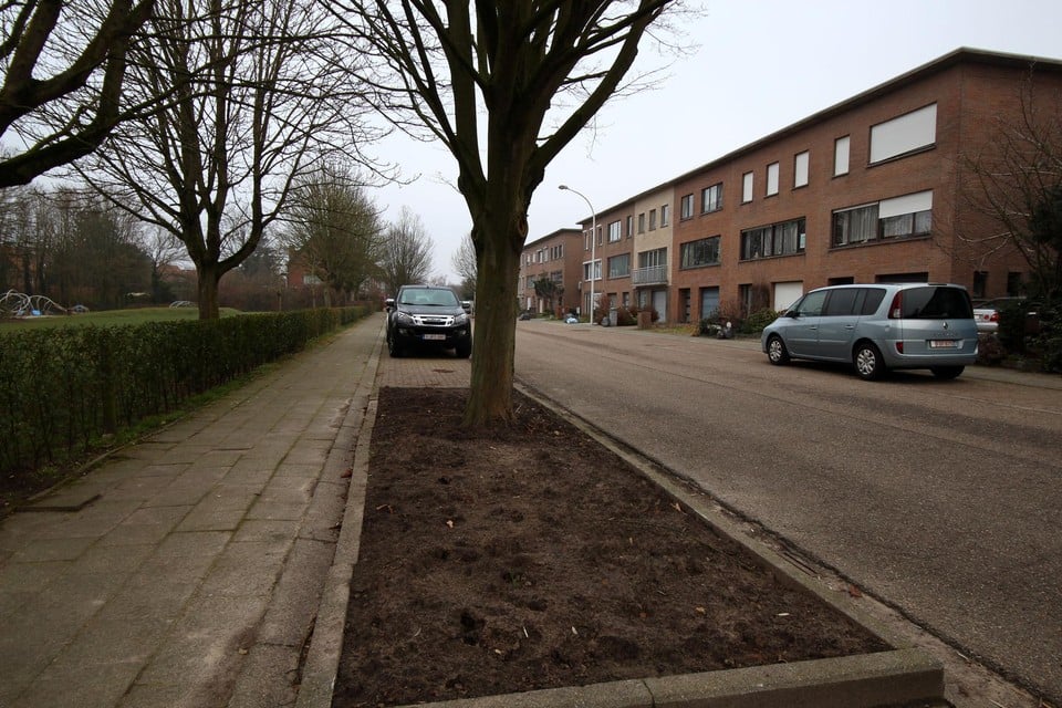 De bewoners van de Floris Primslei kunnen zelf voor meer groen in de straat zorgen.