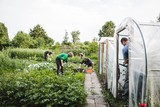thumbnail: Na het werk: de ontspanning, met een flesje en wat gebak.