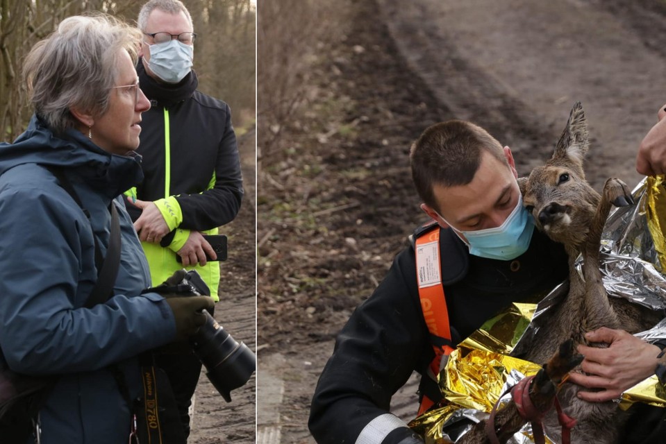 Fotografe Veerle (links) was op wandel in de polder toen ze het verzwakte diertje opmerkte.