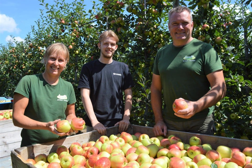 Ingrid Bierinckx, jobstudent Sam Van Leuven en Kris Lemmens bij de eerste oogst zomerappelen bij LemBi Fruit in Emblem. 