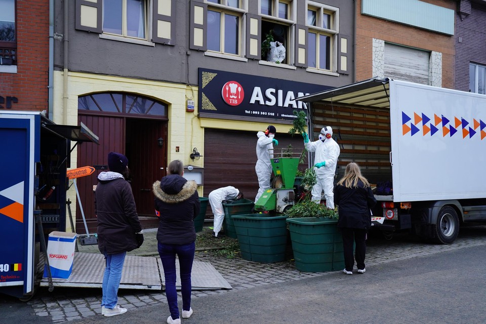 In Oostakker (Gent) werd een plantage boven een Aziatisch restaurant aangetroffen. 