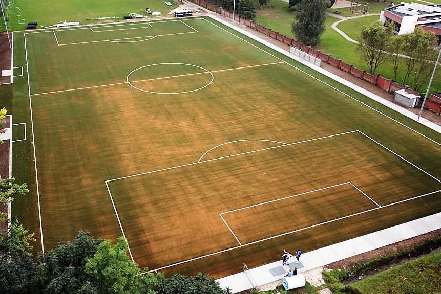Het veld wordt langzaam groen. De kurk raakt beter verspreid.