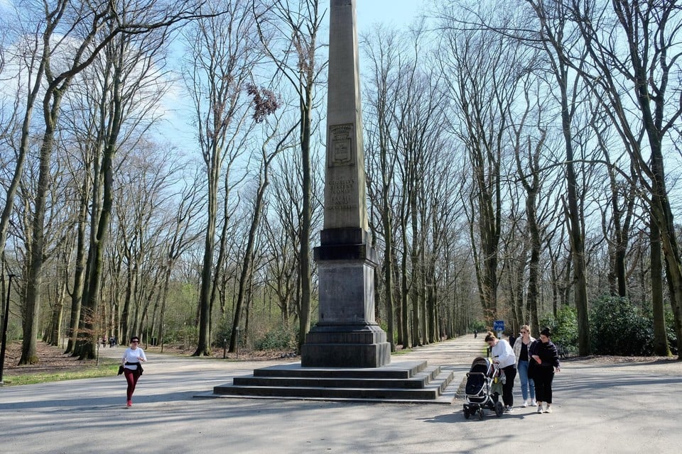 De plek in het park van Brasschaat waar de vier jongeren werden belaagd en geslagen.