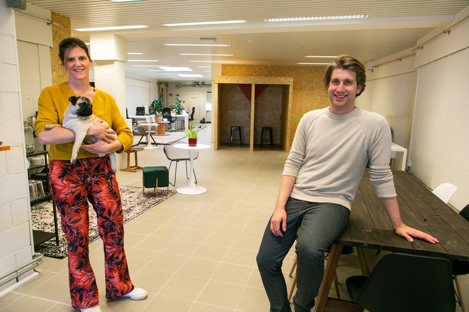 Nathalie Goovaerts in Friday in Zwijndrecht. De mopshond hoort bij de coworkingplek. Nick Van Calster gaat de Zwijndrechtse vestiging leiden. Hij is ook het baasje van de hond.