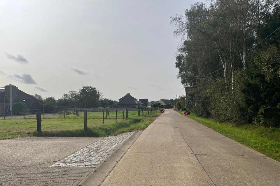 De dader van een schietpartij met een jachtgeweer van eind juni 2022 op een paardenweide in de Zielestraat in Poederlee kent zijn straf.