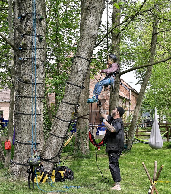 Kinderen mochten onder begeleiding in een hoge boom klimmen. 