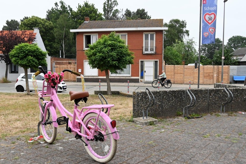 De plaats waar het incident zich afspeelde, bij De Brem in Zandvliet.