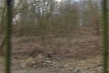 thumbnail: null