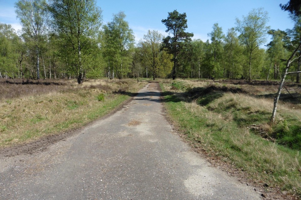 Naast 32 grote betonplaten verdwijnen ook twee ongebruikte asfaltwegen op het groene militaire domein Den Troon. 