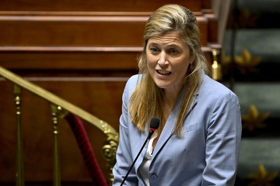 Minister van Binnenlandse Zaken Annelies Verlinden (CD&V).