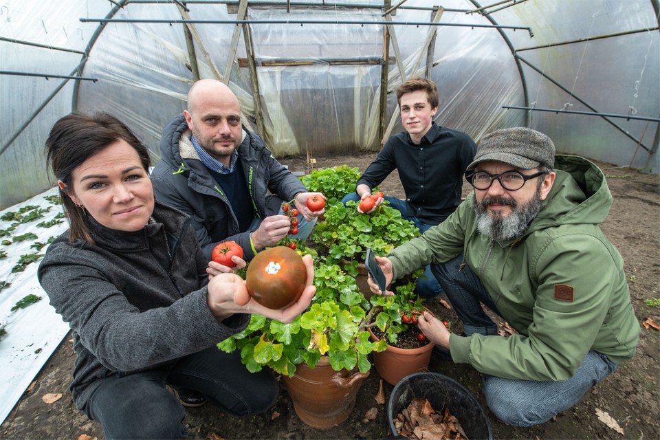 Ann Pluym, zaakvoerder Guy Van Looveren, Robbe Nooyens en Steven Verhoest werken bij Ask Attis en ontwikkelen een applicatie om ziektes bij tomatenplanten te detecteren. 