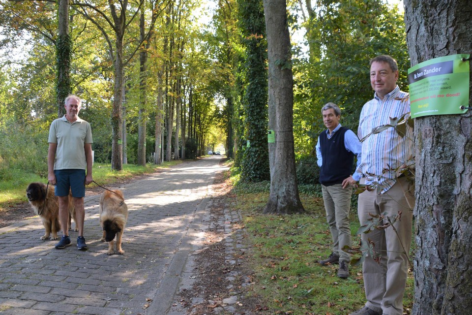 Dirk Verbeke, Kris Versmissen en Dirk Janssens bij boom Zander.