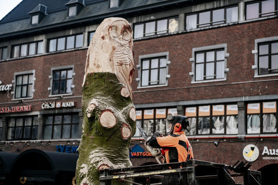 Carving Cis in actie in Hasselt.