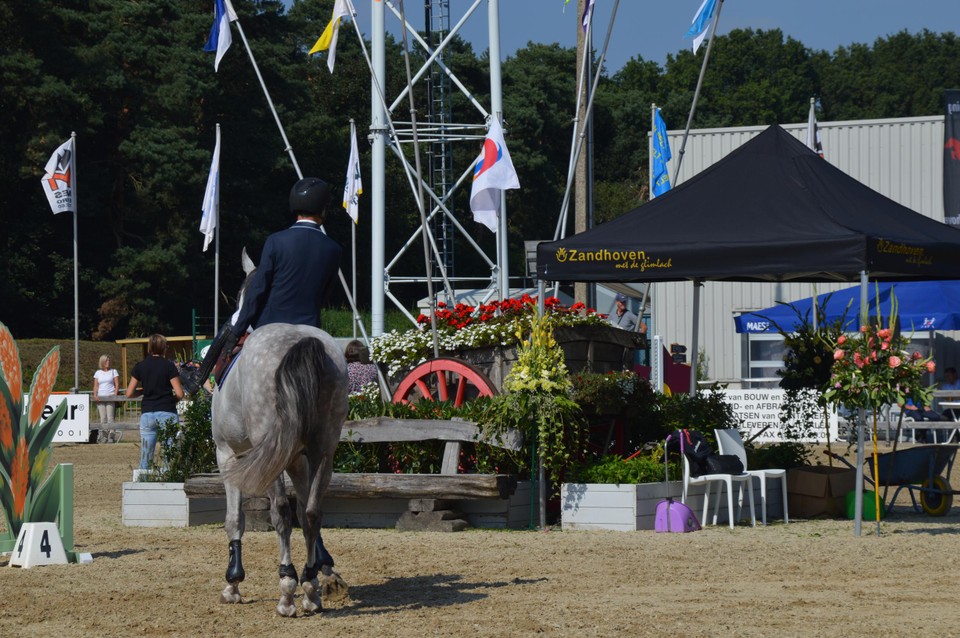 Jumping Zandhoven 2021.