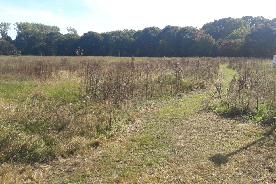 Een van de wandelingen brengt de deelnemers in natuurgebied Kauwendaal.