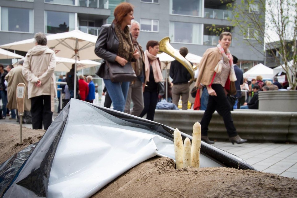 Eén van de jaarlijkse activiteiten van het Puurse Aspergefestival is het Aspergedorp.