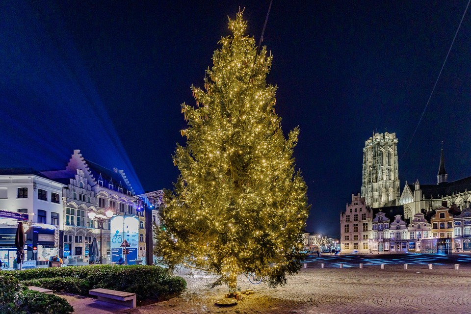 De kerstboom op de Mechelse Grote Markt telt meer lichtjes dan ooit. 