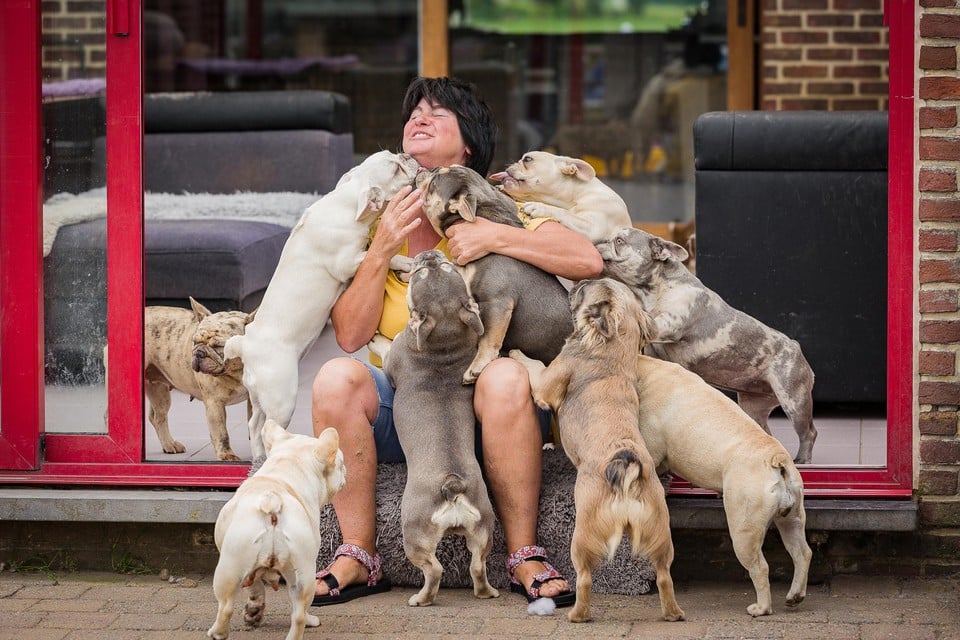 Judith Heeft Maar Liefst 50 Honden Ik Zou Niet Zonder Ze Kunnen Gazet Van Antwerpen Mobile