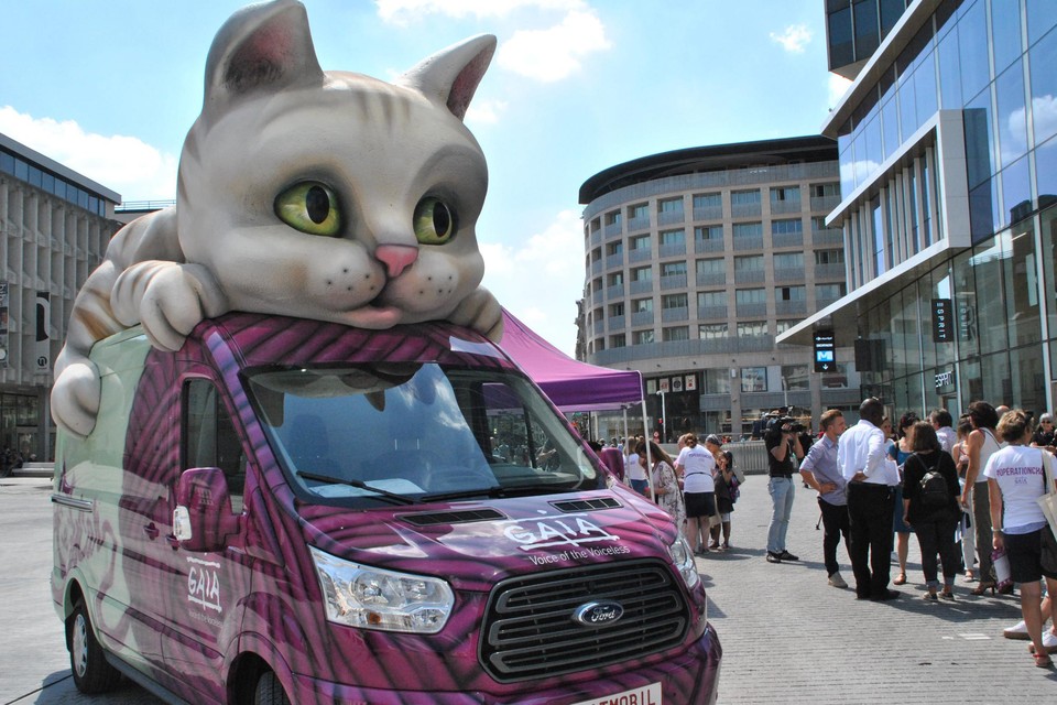 Katmobiel komt naar zaterdagmarkt.