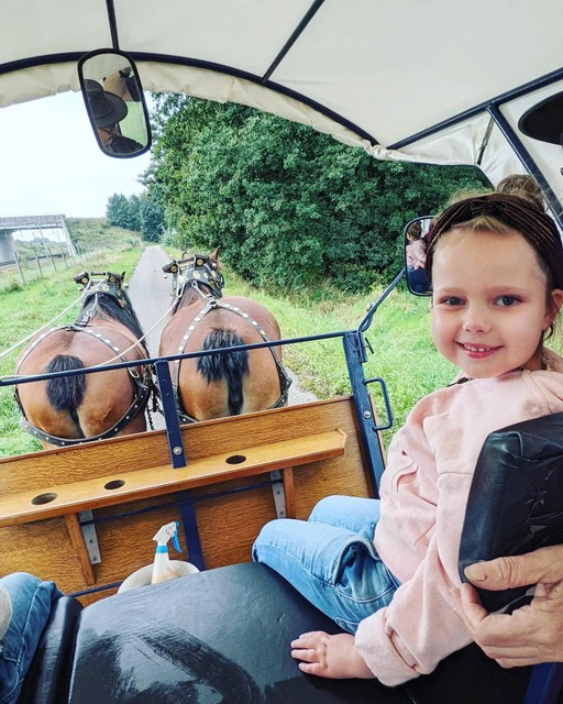 Lieve Collette.