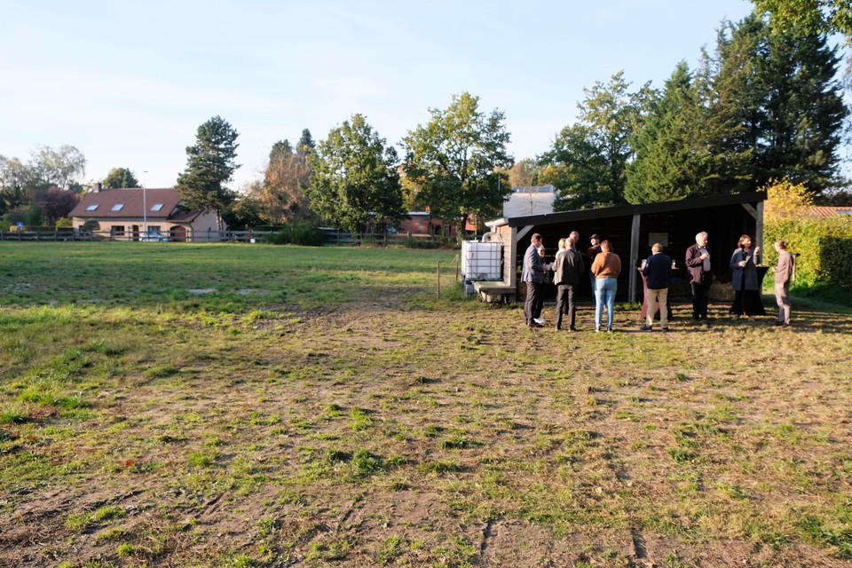 De weide die de Zorgboerderij kon verwerven.