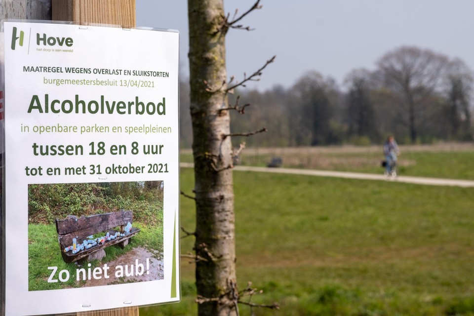 Het alcoholverbod in Hove is onvoldoende gemotiveerd.