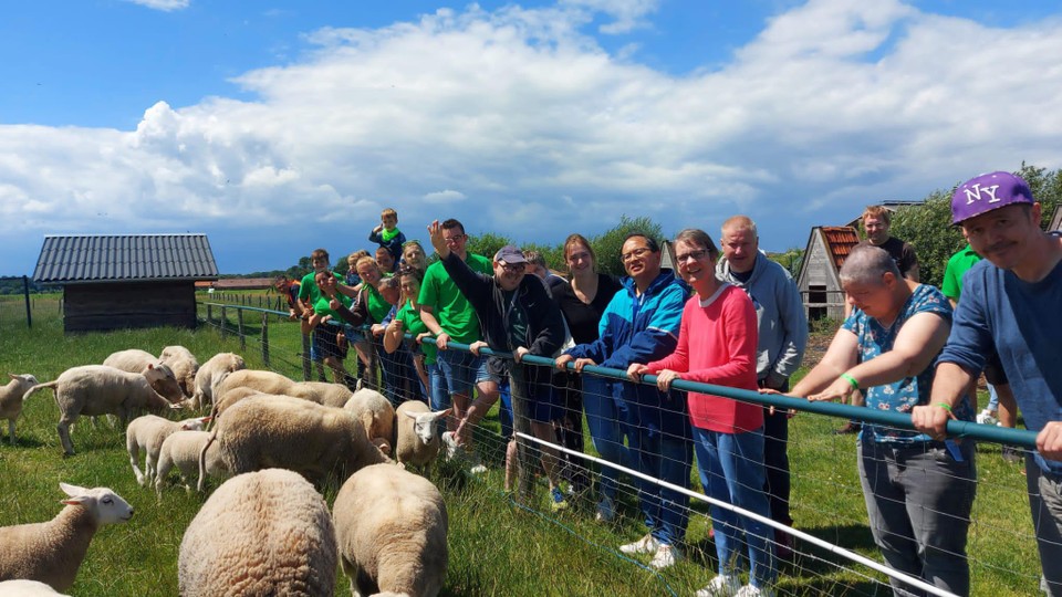 Bij schapenboerderij Het Vaneleke werd iedereen getrakteerd op een rondleiding en een ijsje. 