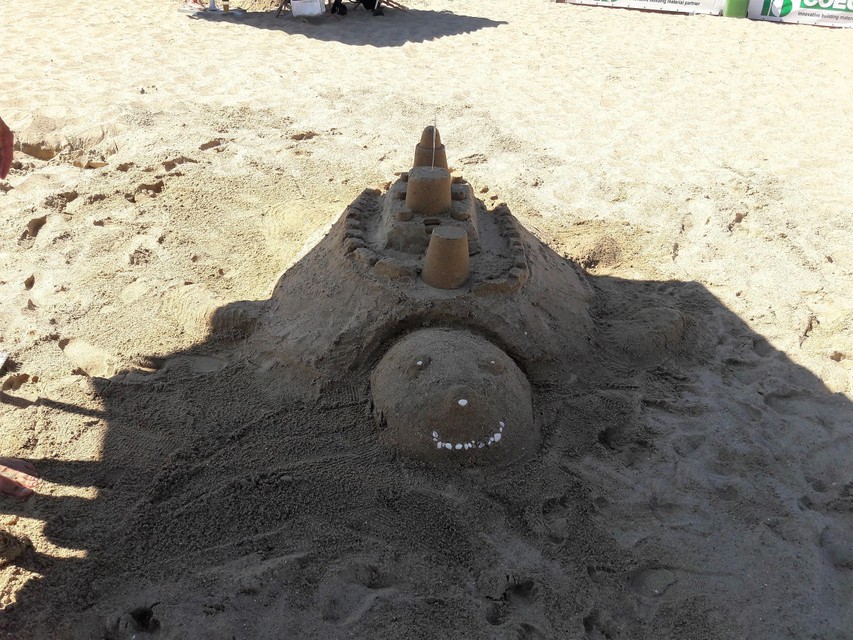Een zandkasteel in de vorm van een schildpad. 