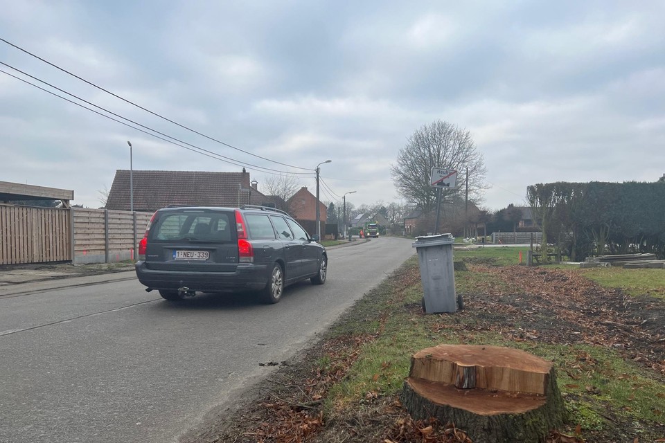 De bomen langs de August Cannaertsstraat zijn vorige maand al weggehaald.