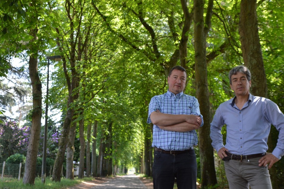 Dirk Janssens en Kris Versmissen in de Mostheuvellaan onder de paardenkastanjes.
