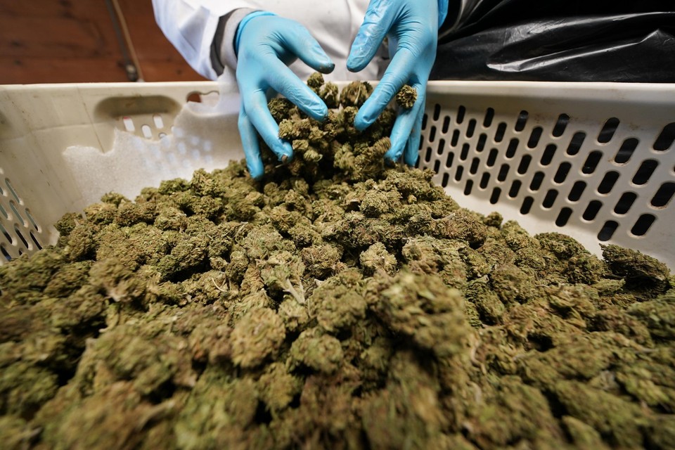 De politie vond alles samen meer dan drie kilogram cannabis.