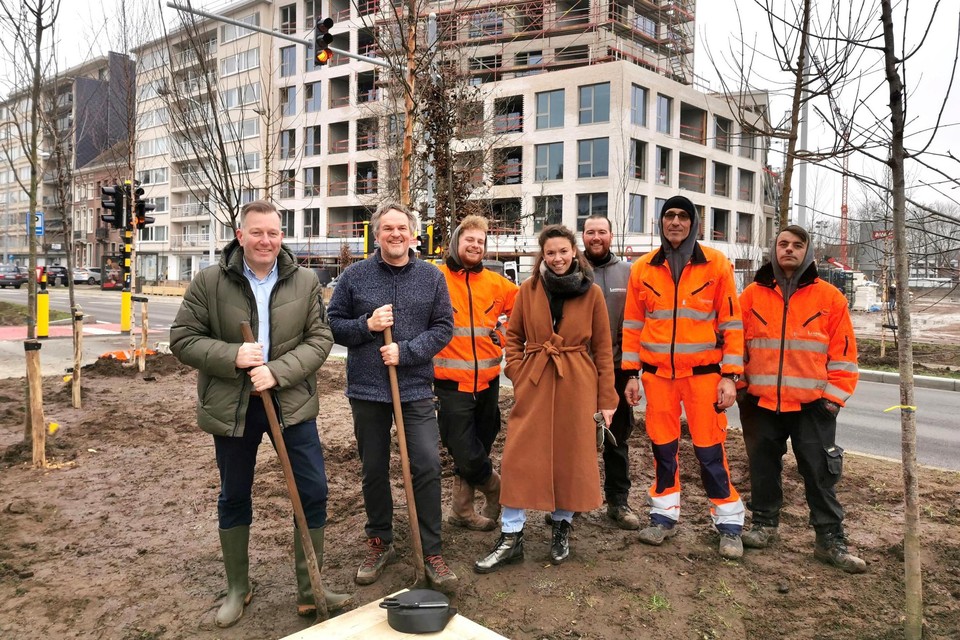 Een delegatie van het schepencollege heeft op de Koningin Astridlaan een tiental nieuwe bomen mee aangeplant.