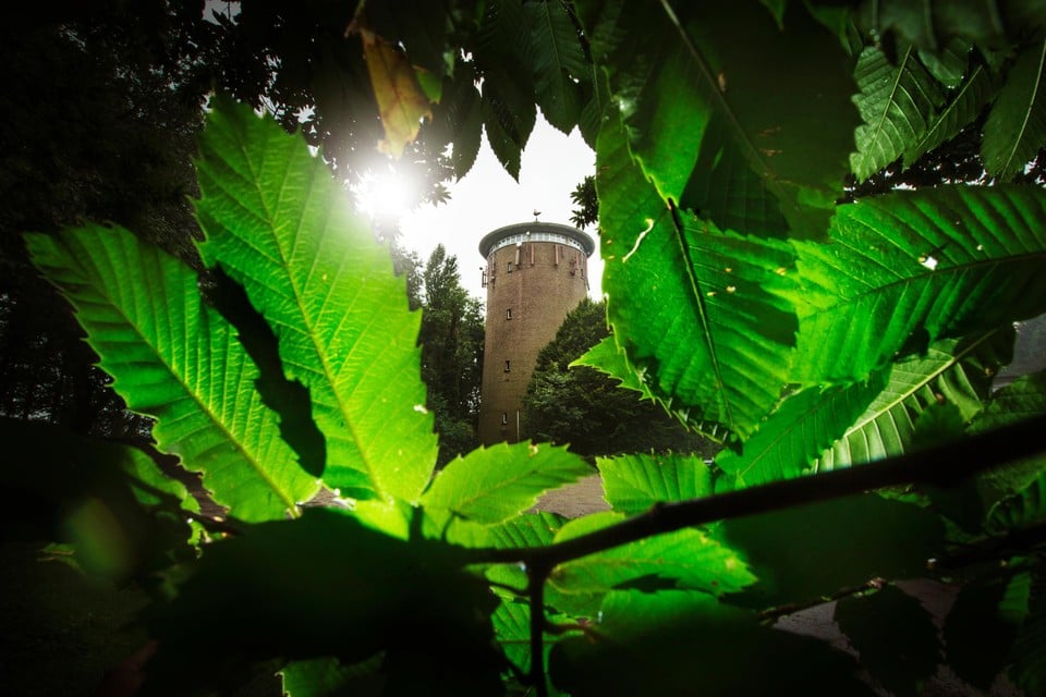 In het Bergbos vind je ook de  water- en uitkijktoren terug.