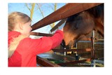 thumbnail: null