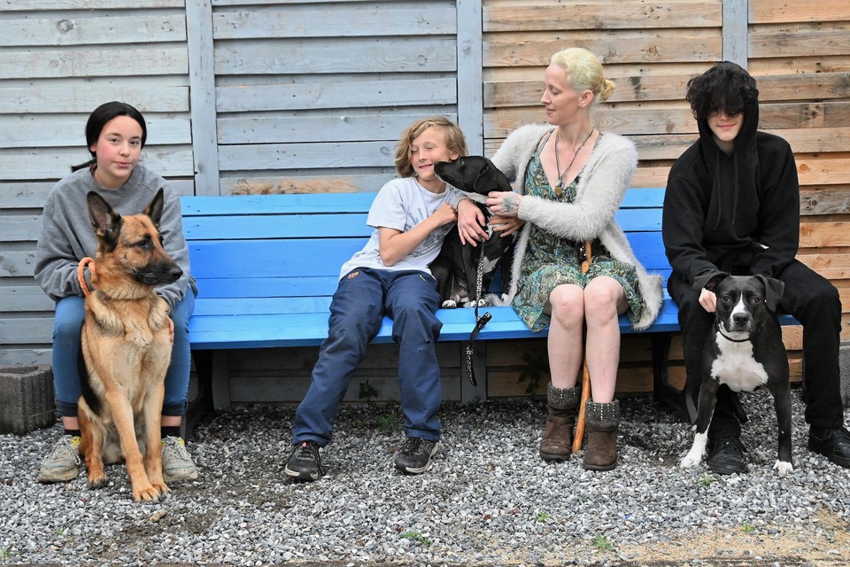 Clare Pidgeon en drie van haar kinderen met Dotje, Patch en Dicky.