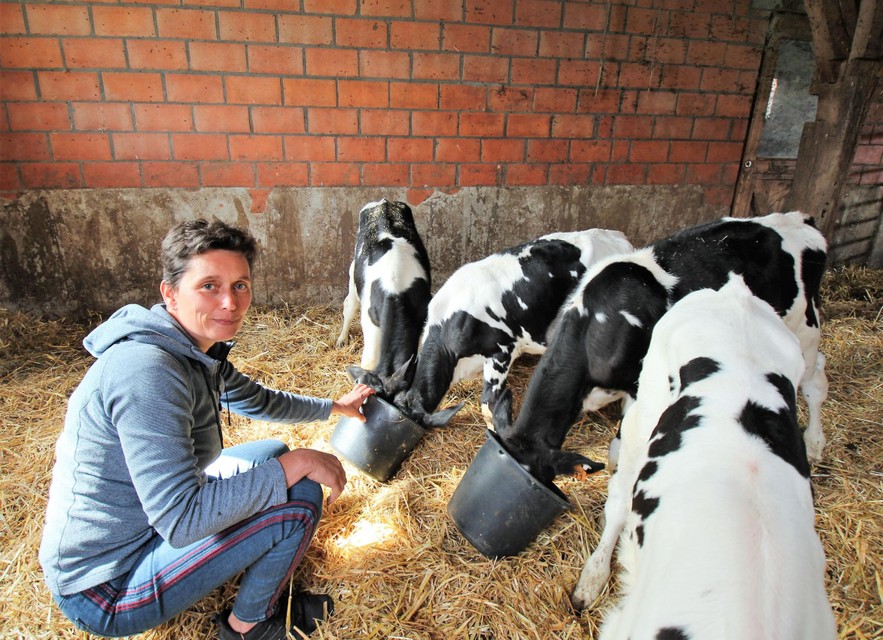 Kinderen leren meer over de boerderij bij Gasthuishoeve Boshoek.