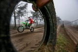 thumbnail: null
