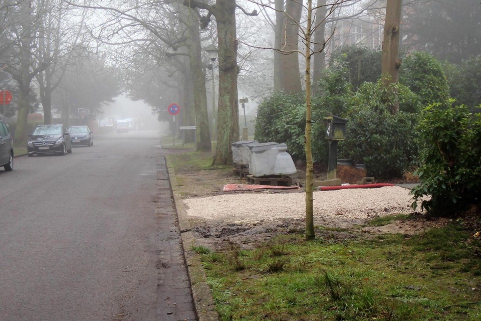 Na de heraanleg blijven de bermen in de Janssenlei onverhard.