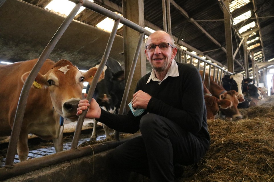Boer Marc bij zijn speciale koeien.