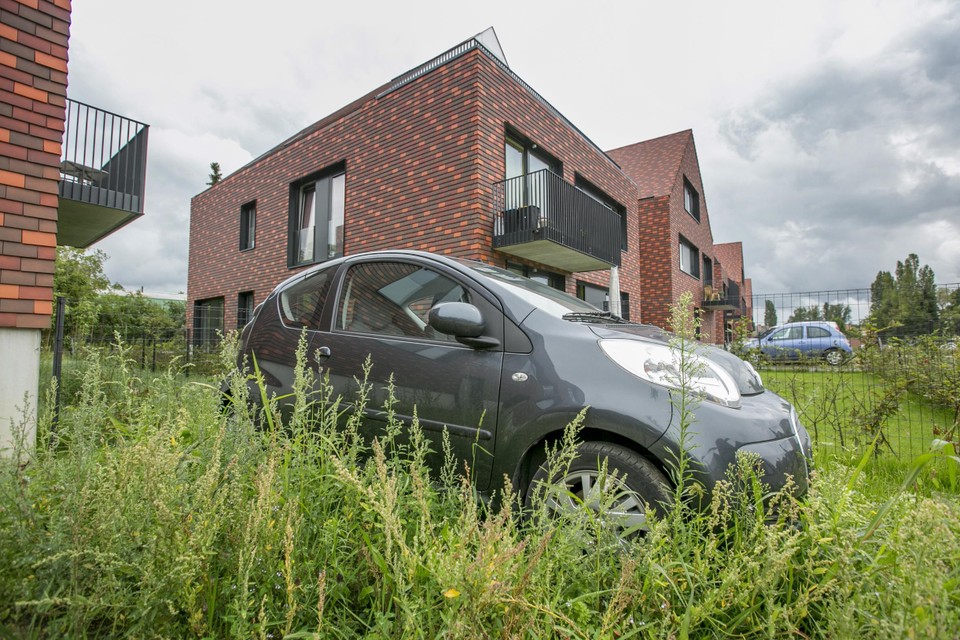 Hoogvelden
