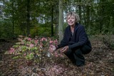 thumbnail: Katrien Schryvers op de natuurbegraafplaats van Halle-Zoersel. 