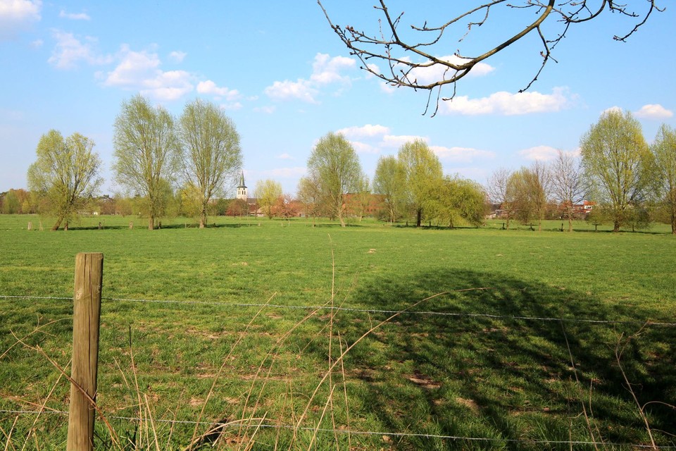 De wandeling trekt door de Koude Beekvallei van Borsbeek.