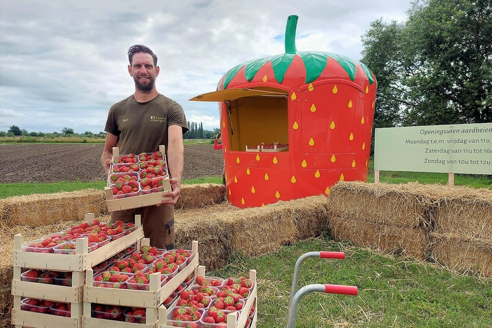 Bert Vercammen bouwde een opvallend aardbeienkraam. 