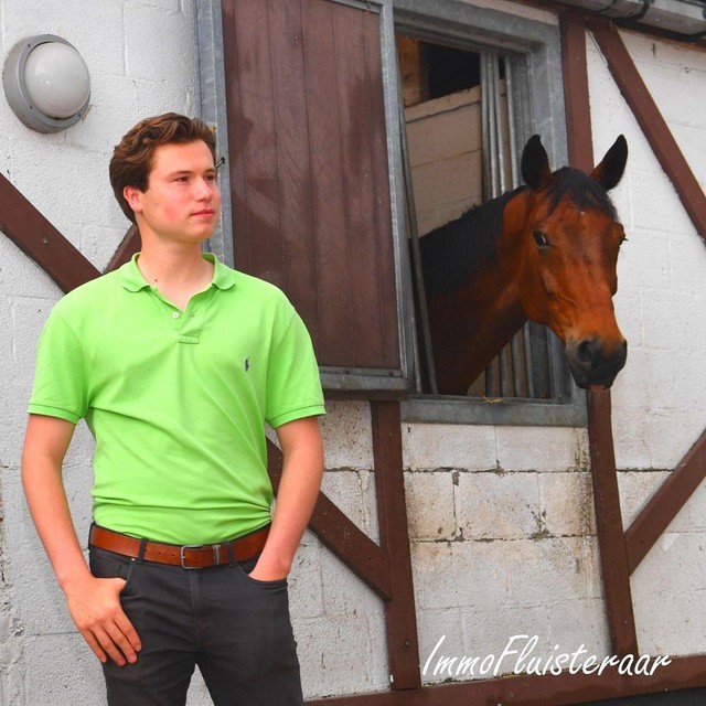 Warren Blust voor een box in De Kraal.