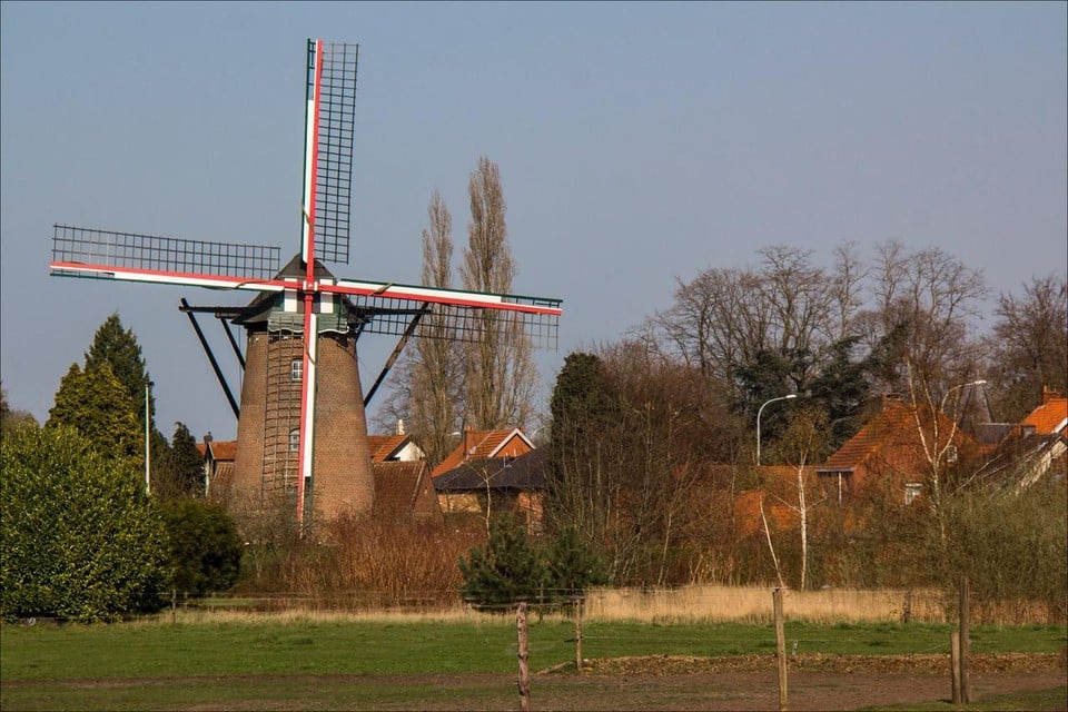 Herman Hendrickx won in de categorie gebouwen met deze foto van de Scherpenbergmolen.
