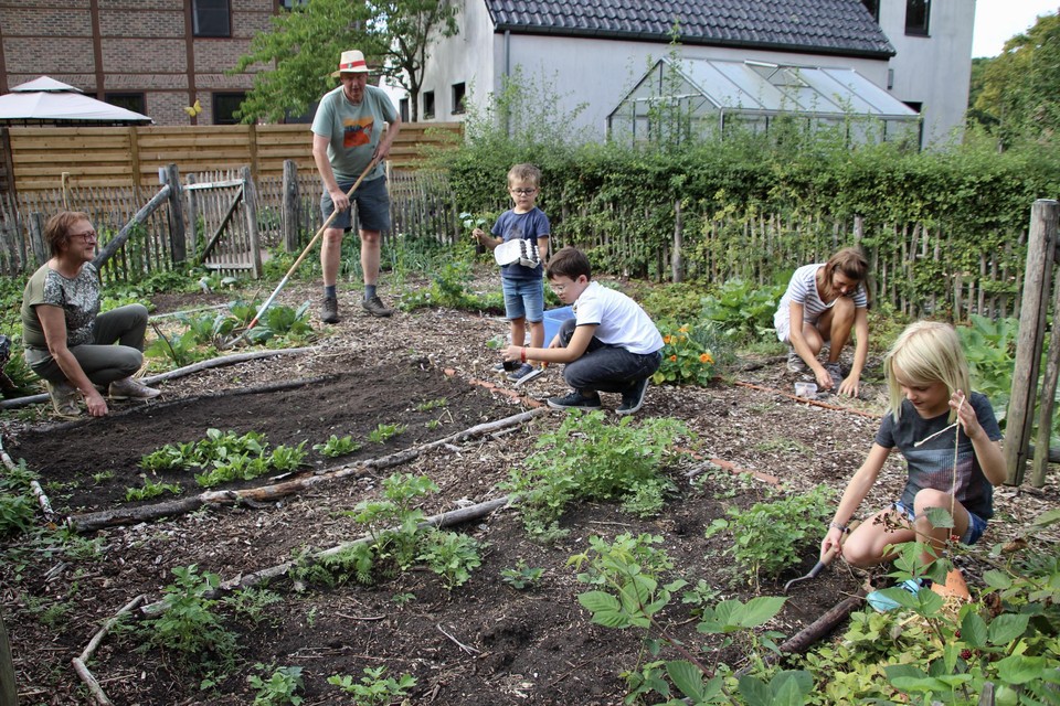 Leren moestuinieren in vier avonden.