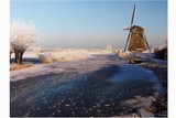 thumbnail: null