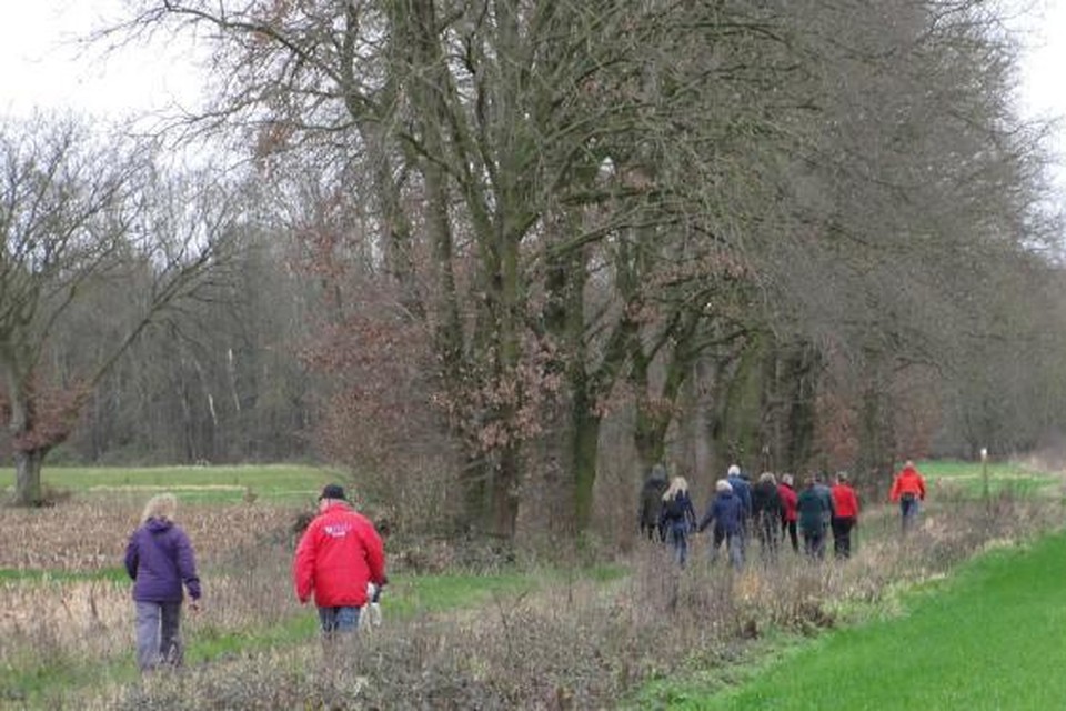 De Herebossenwandeling neemt wandelaars mee in de Hulshoutse natuur en in de Netevallei. 